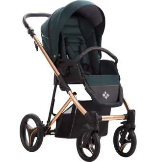 Коляска 2в1 Bebetto Flavio Premium Stela 01