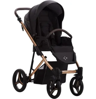 Коляска 2в1 Bebetto Flavio Premium Stela 02