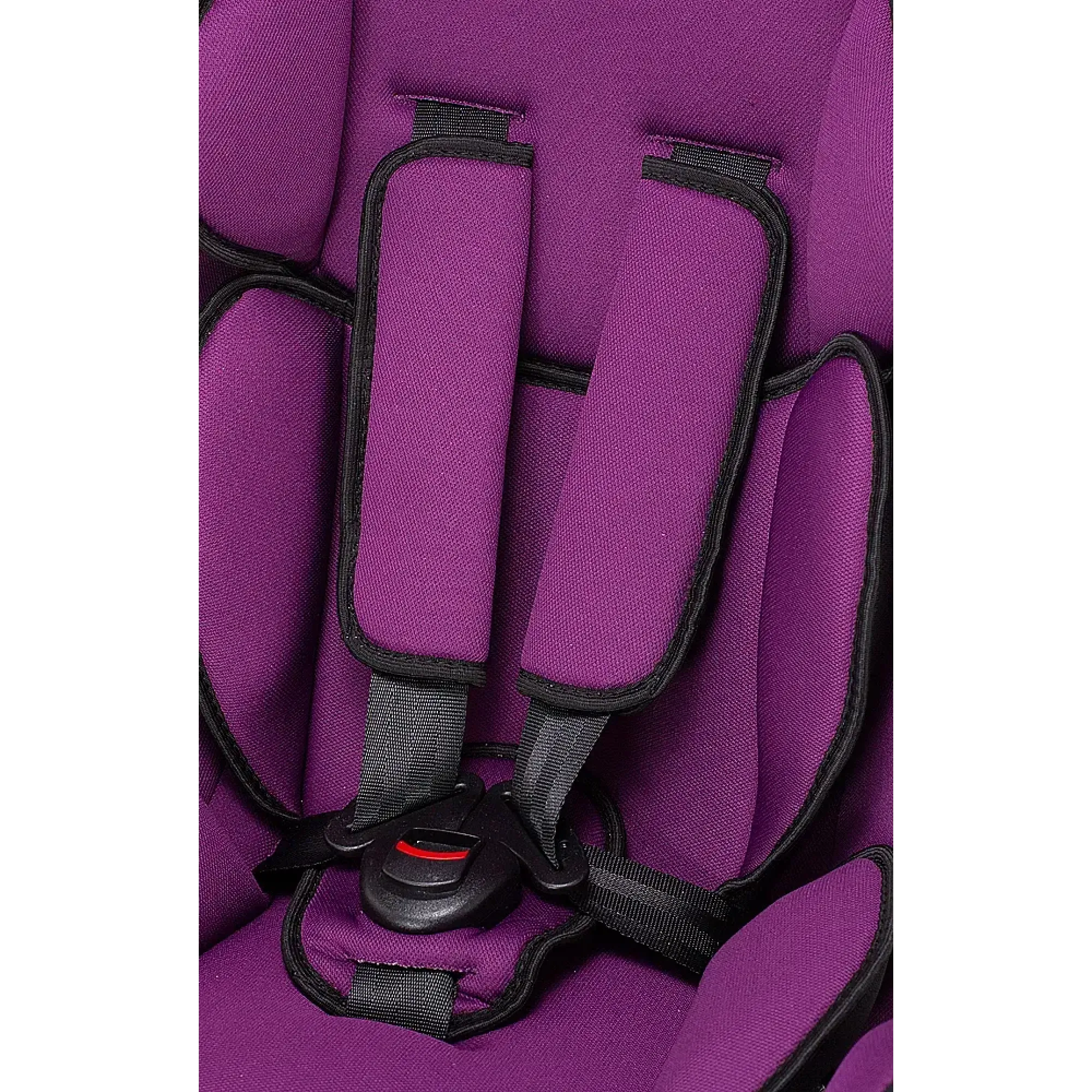 Автокресло Bair Sigma DS1824 Черный / Фиолетовый