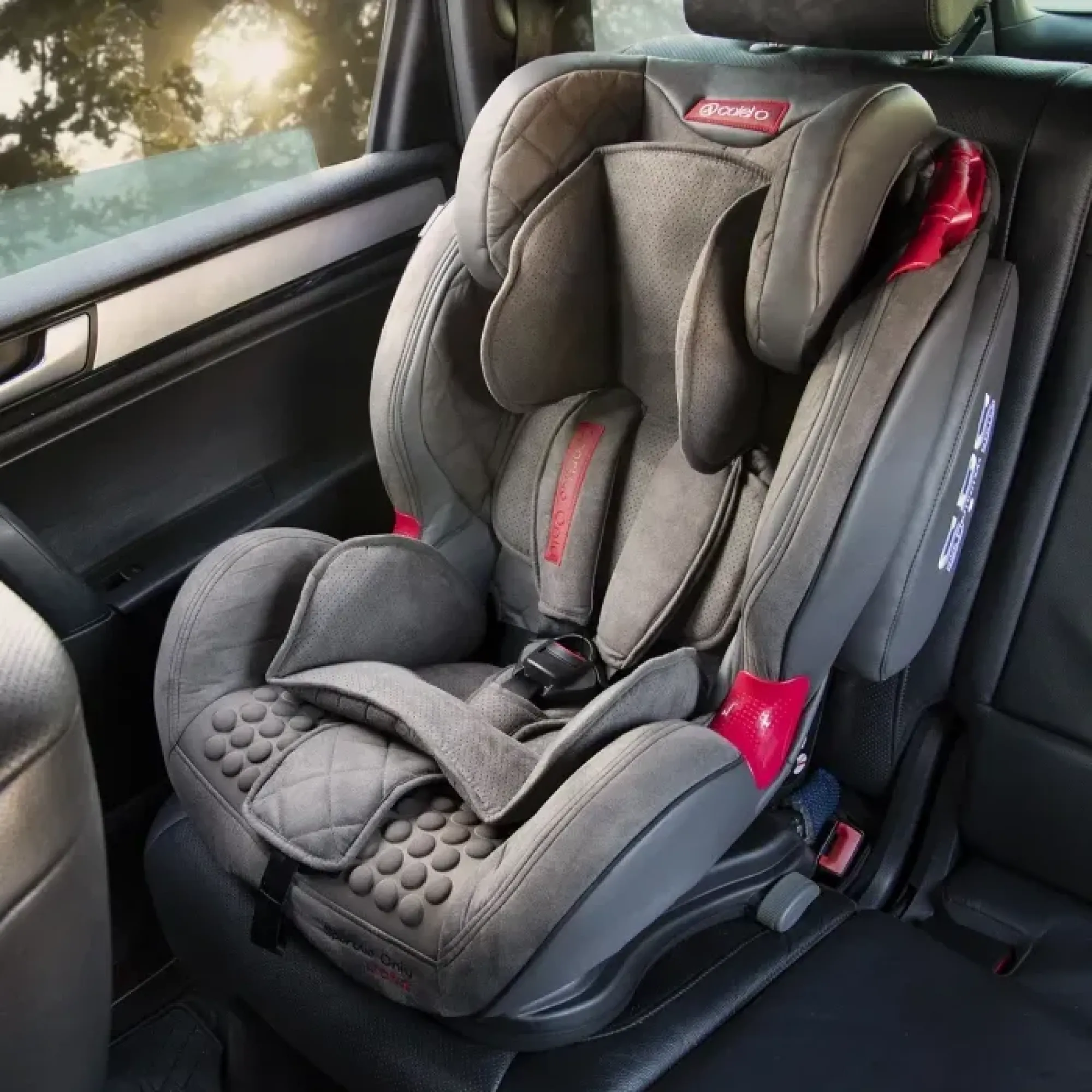 Автокрісло Coletto Sportivo Only Isofix Red