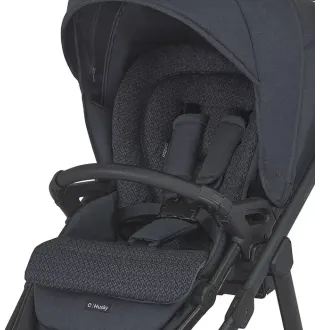 Коляска 2в1 Espiro Husky XL 2023 09 Beige Horizon