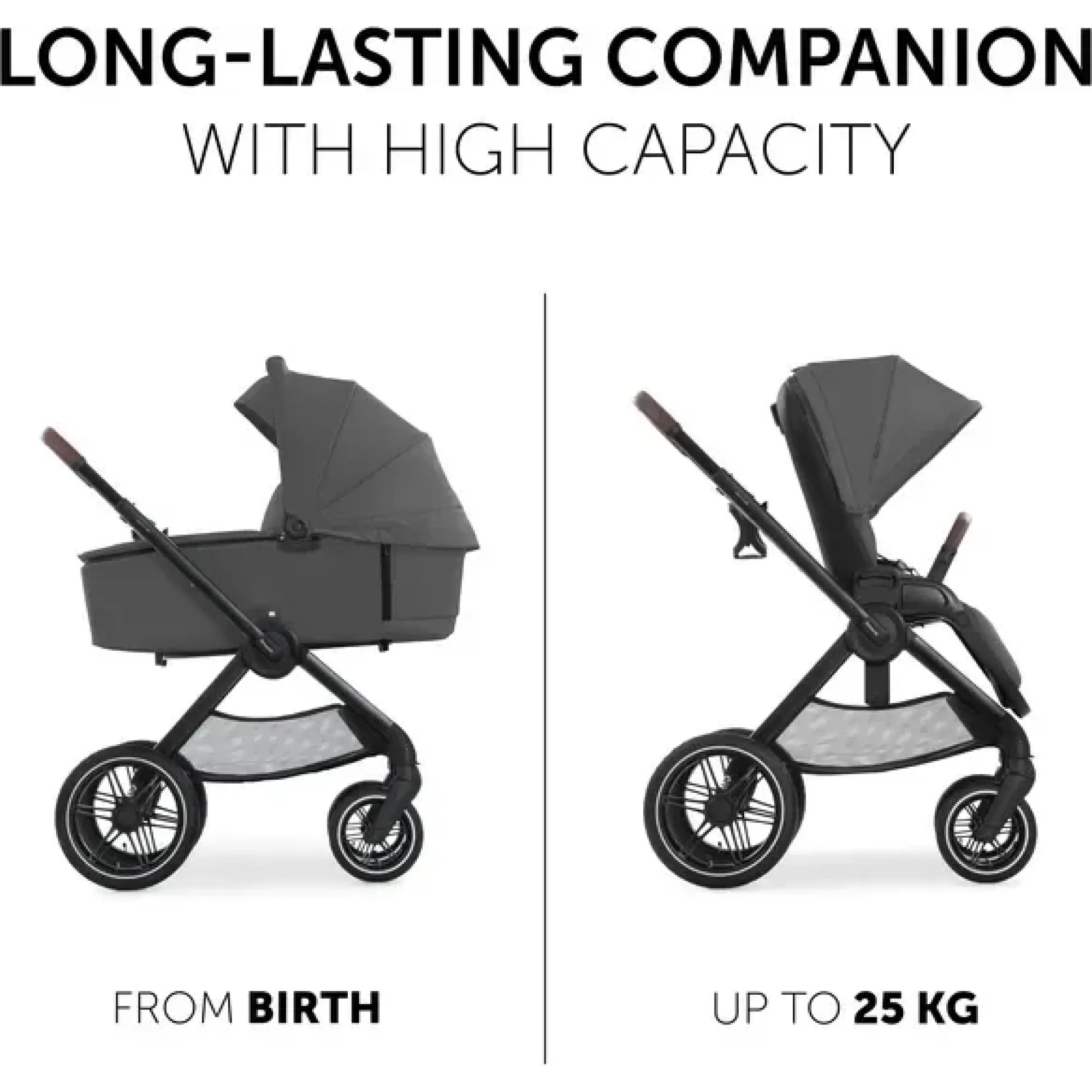 Коляска універсальна Hauck Walk N Care Air Dark Grey