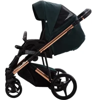 Коляска 2в1 Bebetto Loren Premium Class Stella 02