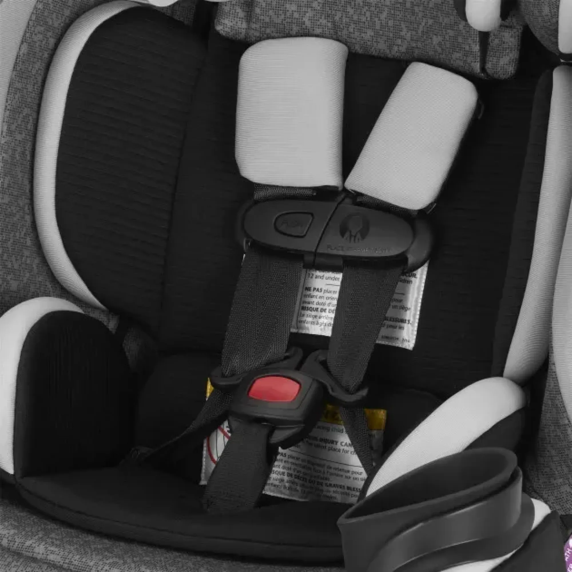 Автокрісло Evenflo EveryStage DLX (автодотягування ременів) Latitude