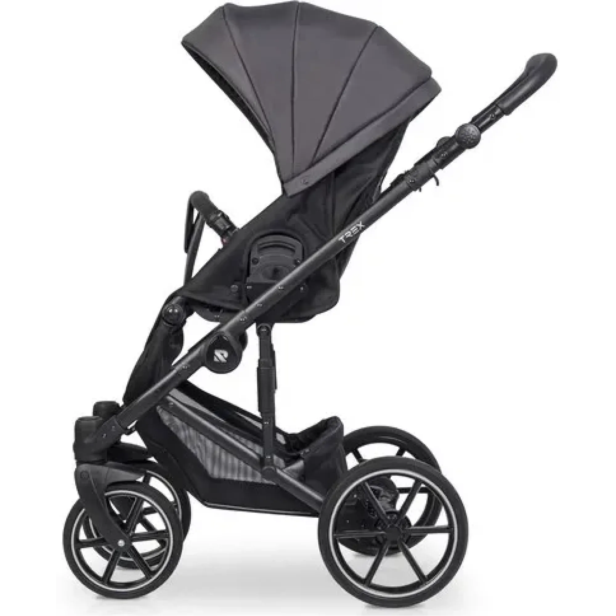 Коляска 2в1 Riko Trex 03 Energy Pink