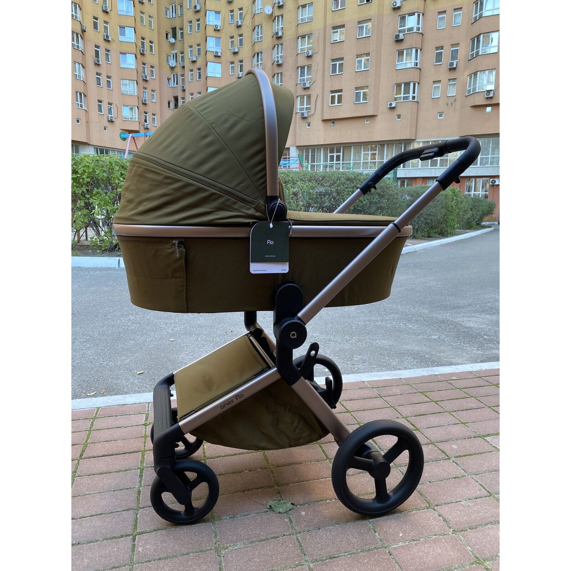 Живі фото 1 Коляска 2в1 Anex Flo Astra