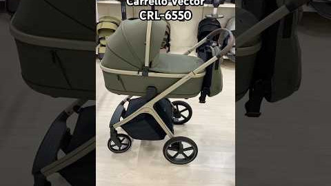 Коляска 2в1 Carrello Vector CRL-6550 Deep Green #stroller #carrello #візочок #коляска #vector