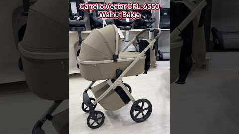 Коляска 2в1 Carrello Vector CRL-6550 Walnut Beige #візочок #магазинколясок #newborn #stroller